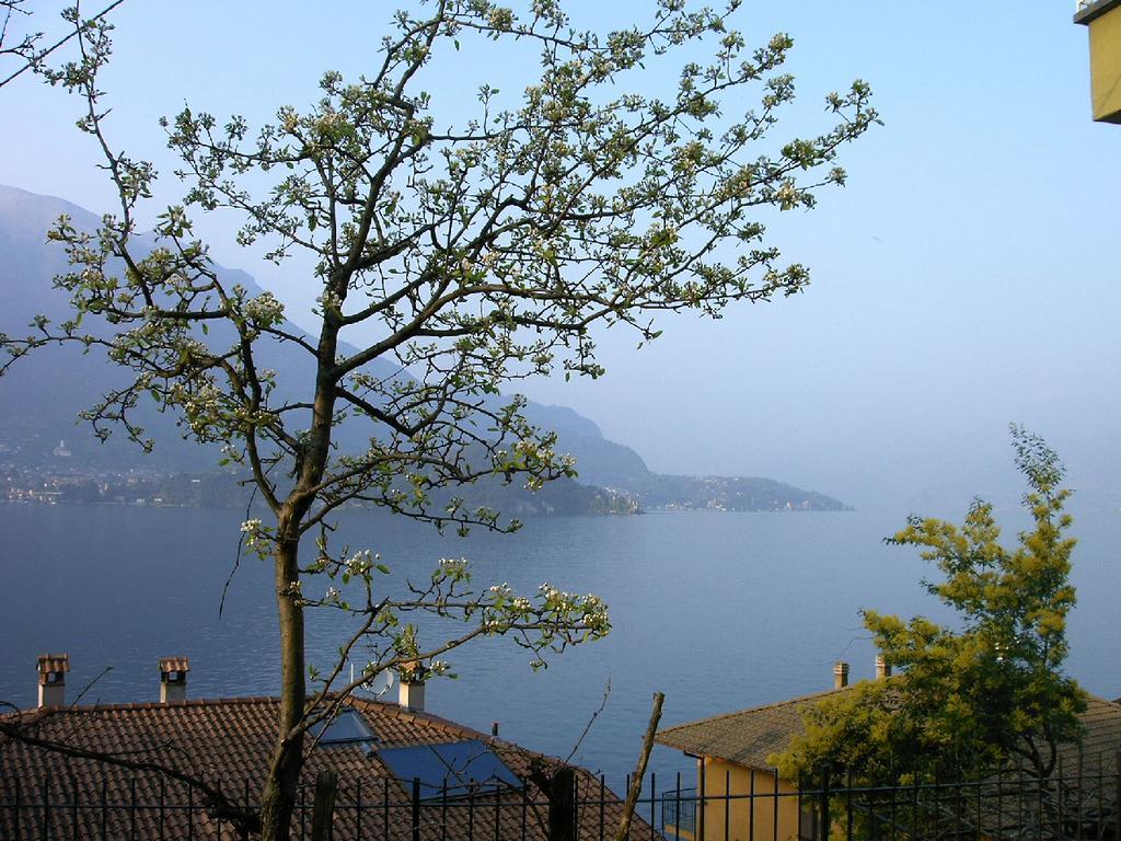 B&B Sosta Sul Lago Lezzeno Dış mekan fotoğraf